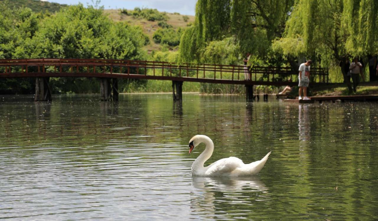 British Hotel Pogradec Buitenkant foto